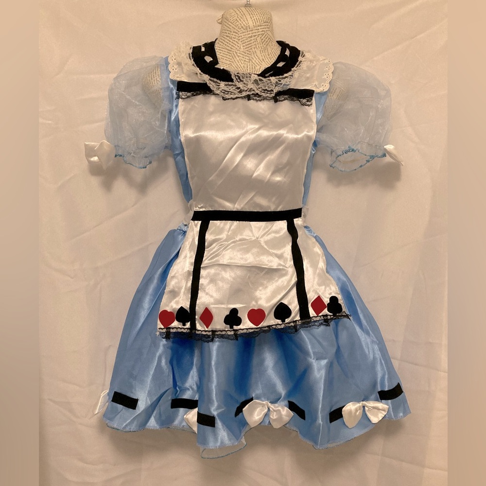 Alice in Wonderland Juniors costume dress